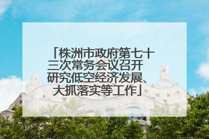 株洲市政府第七十三次常务会议召开 研究低空经济发展、大抓落实等工作